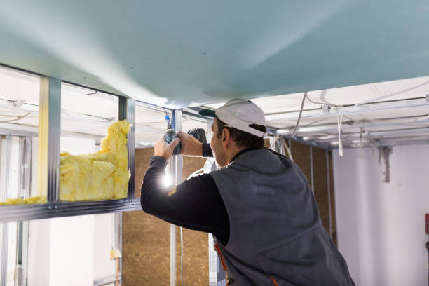 Eco-Friendly or Green Insulation Solutions in Beltsville, MD