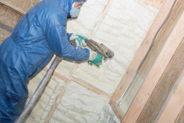 Best Reflective Insulation  in Beltsville, MD